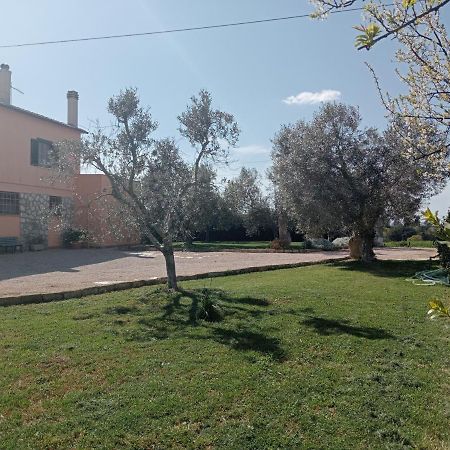 Villa In Campagna Tra Natura E Verde มอนตัลโต ดิ กัสโตร ภายนอก รูปภาพ