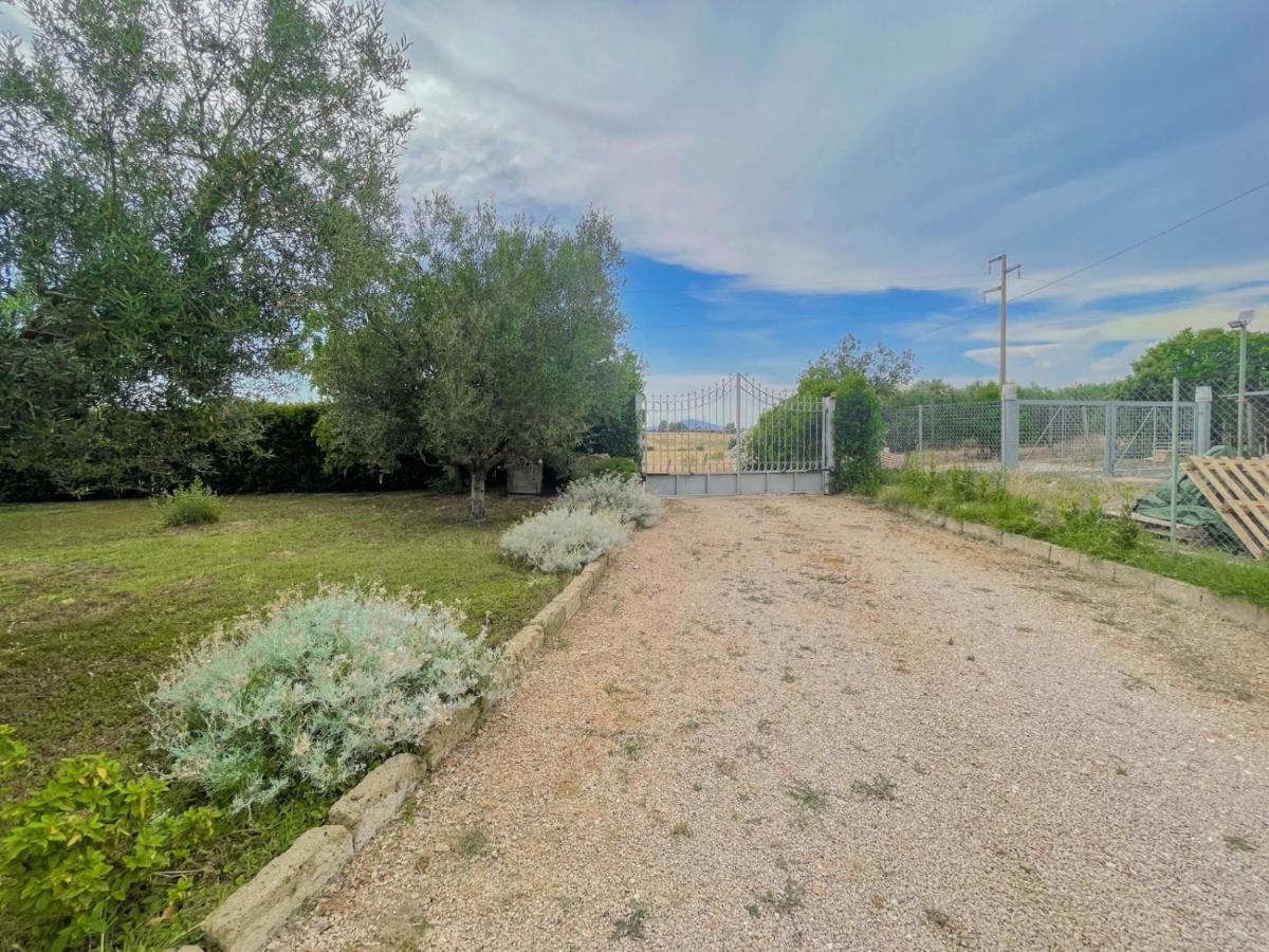 Villa In Campagna Tra Natura E Verde มอนตัลโต ดิ กัสโตร ภายนอก รูปภาพ