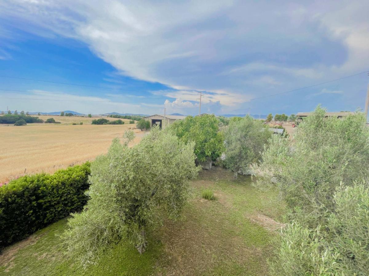 Villa In Campagna Tra Natura E Verde มอนตัลโต ดิ กัสโตร ภายนอก รูปภาพ