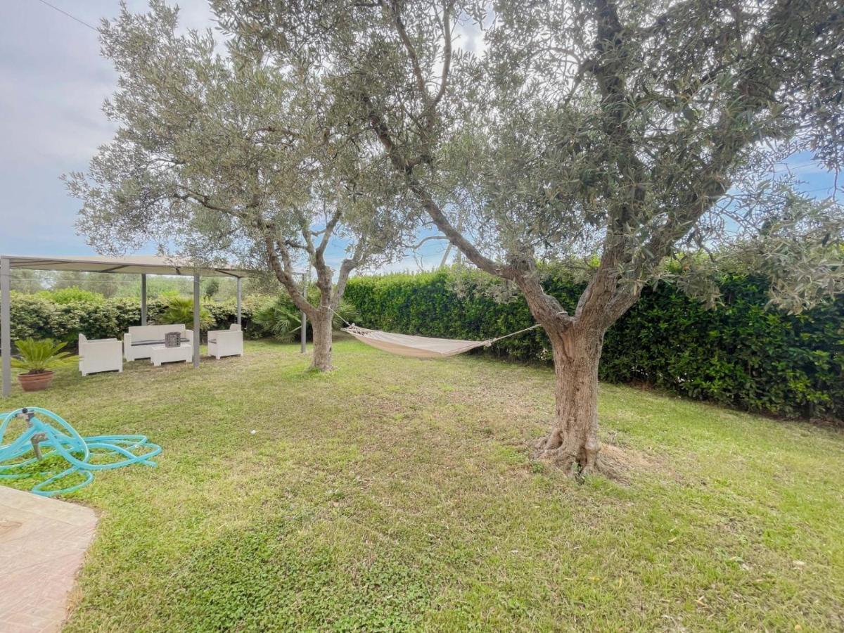 Villa In Campagna Tra Natura E Verde มอนตัลโต ดิ กัสโตร ภายนอก รูปภาพ