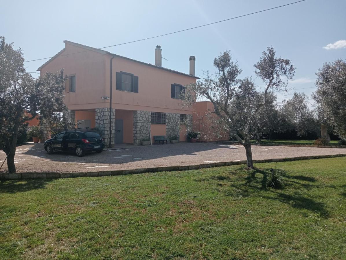Villa In Campagna Tra Natura E Verde มอนตัลโต ดิ กัสโตร ภายนอก รูปภาพ