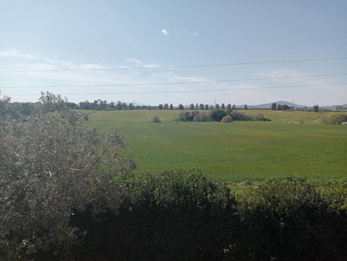 Villa In Campagna Tra Natura E Verde มอนตัลโต ดิ กัสโตร ภายนอก รูปภาพ