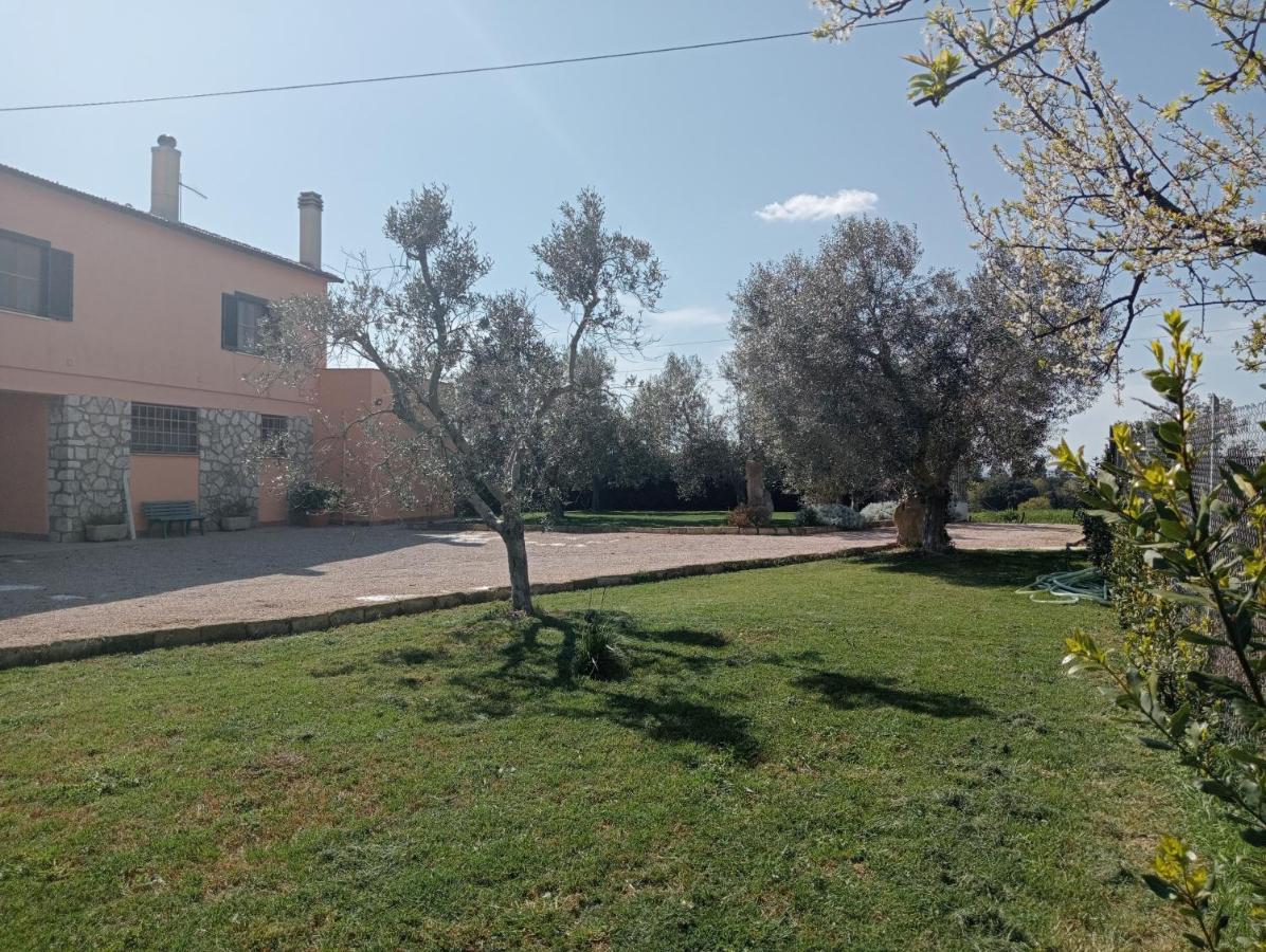 Villa In Campagna Tra Natura E Verde มอนตัลโต ดิ กัสโตร ภายนอก รูปภาพ