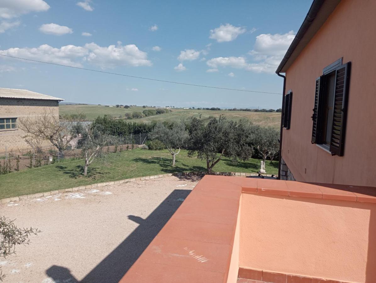Villa In Campagna Tra Natura E Verde มอนตัลโต ดิ กัสโตร ภายนอก รูปภาพ